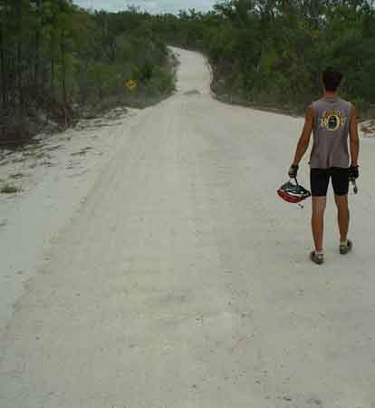 Dan, looking into another dip