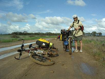 Vino, on muddy track