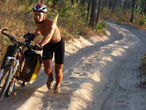 Dan, Telegraph track