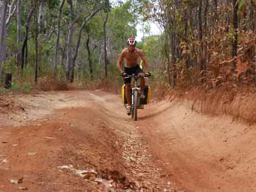 Dan, Telegraph track