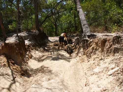 Dan, Telegraph track
