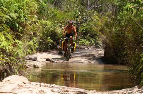 Dan, Telegraph track