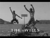 The Wills